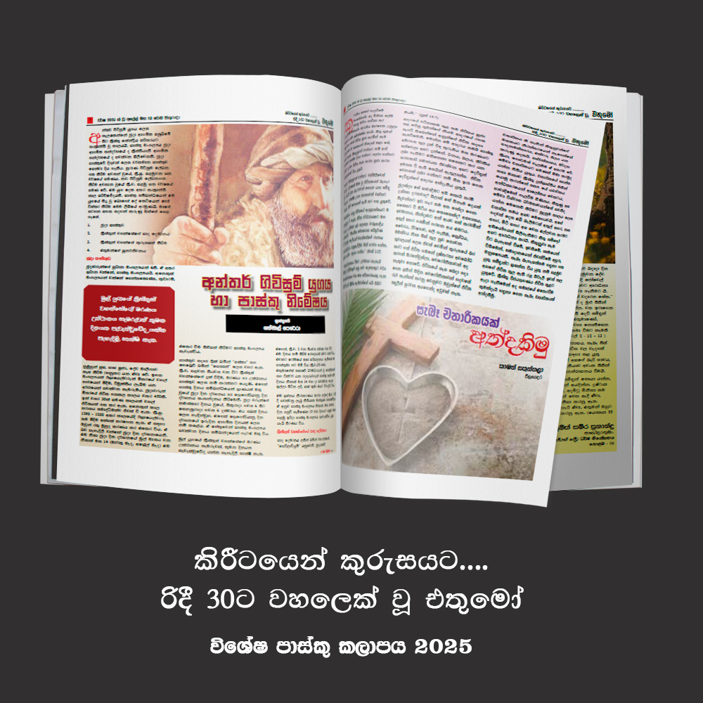 digital pasku publication 2025